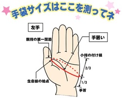 サイズを測る位置